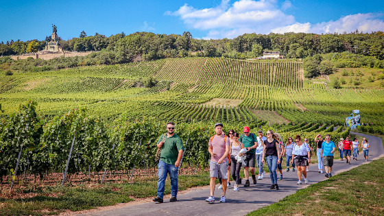 Event - Feste Weinwanderung Rüdesheim am Rhein mit Seilbahnfahrt