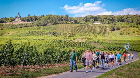 Event - Feste Weinwanderung Rüdesheim am Rhein mit Seilbahnfahrt