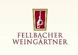 next Generation der Fellbacher Weingärtner eG